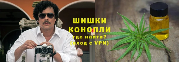 ПСИЛОЦИБИНОВЫЕ ГРИБЫ Янаул