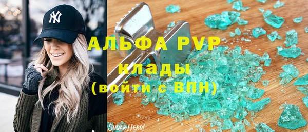 гидра Яровое