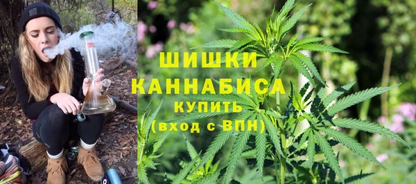 гидра Яровое