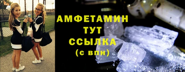 гидра Яровое