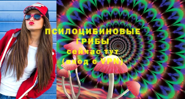дживик Ухта