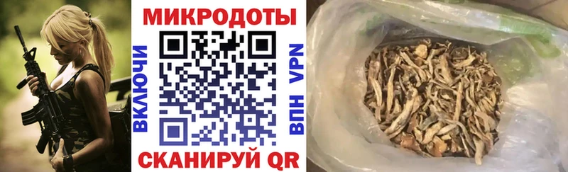 Галлюциногенные грибы MAGIC MUSHROOMS  Шацк 